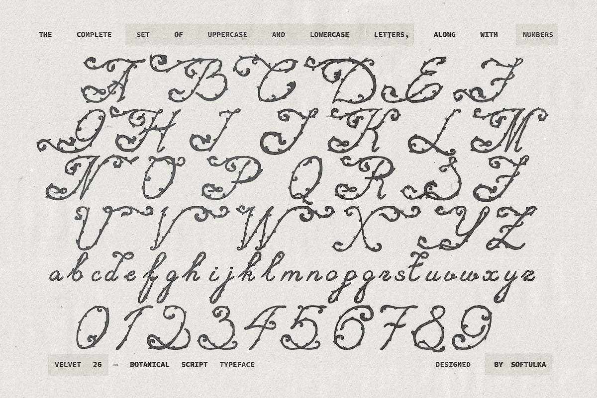 velvet-26-botanical-typeface-softulka-7.jpg