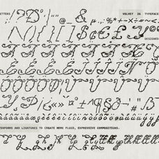 velvet-26-botanical-typeface-softulka-8.jpg