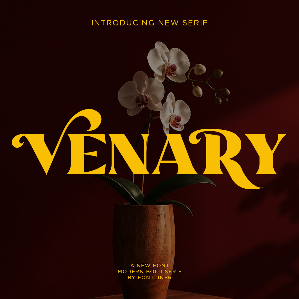 venary-elegant-fashion-serif-font-fontliner-1.png