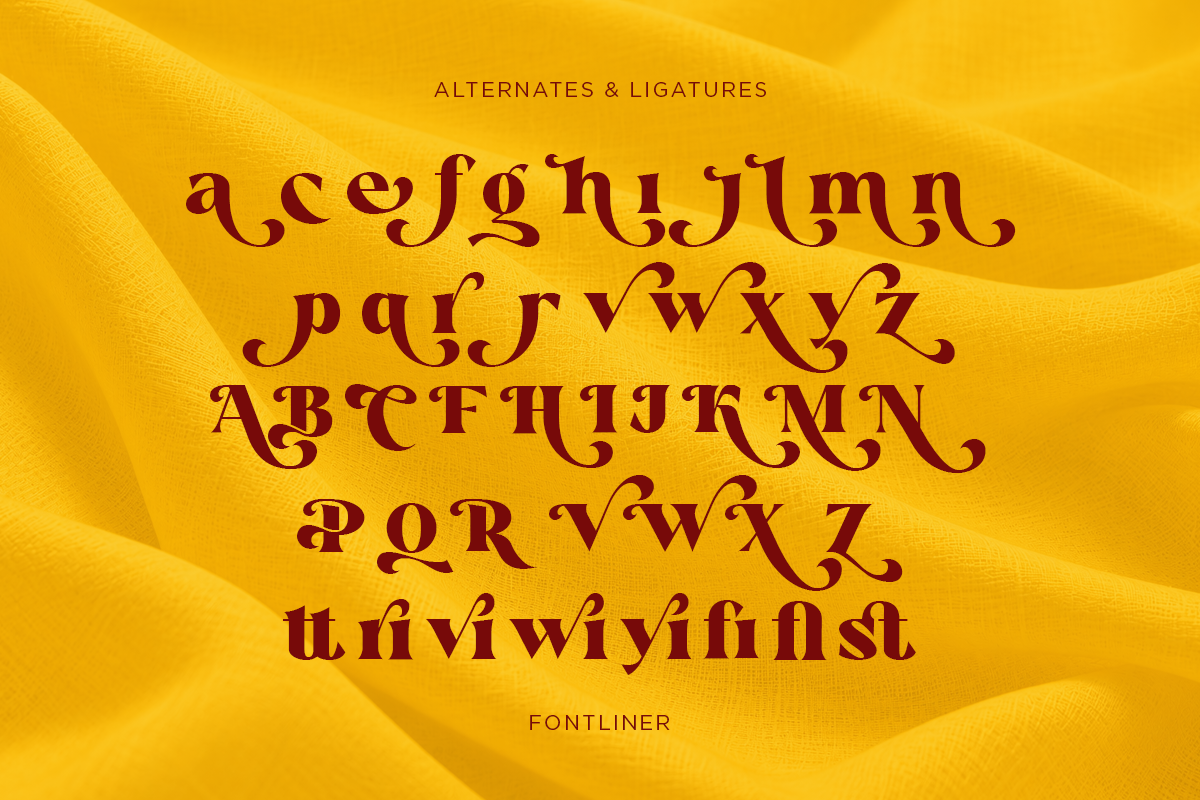 venary-elegant-fashion-serif-font-fontliner-10.png