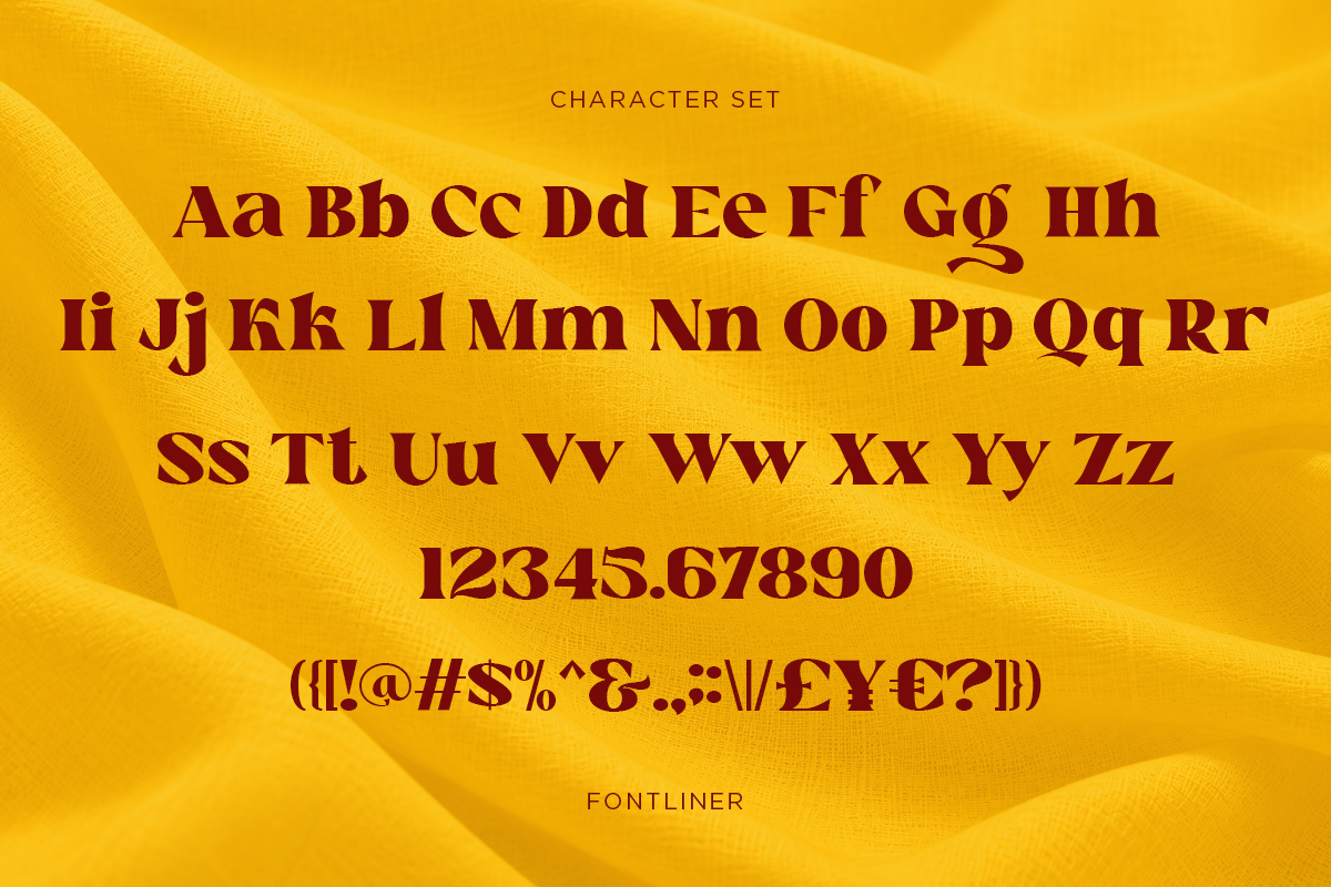 venary-elegant-fashion-serif-font-fontliner-9.png