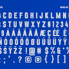 veqtro-condensed-typeface-font-catalystco-studio-2.jpg