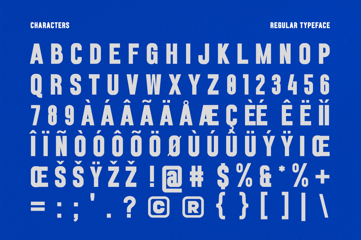 veqtro-condensed-typeface-font-catalystco-studio-2.jpg