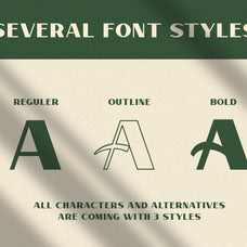 verilet-elegant-sans-serif-font-zarma-type-2.jpg