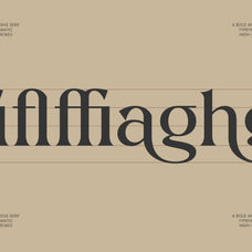 vielotta-elegant-editorial-serif-amorfatype-studios-4.jpg