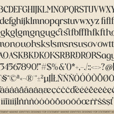 vielotta-elegant-editorial-serif-amorfatype-studios-8.jpg