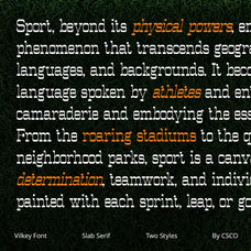 vilkey-slab-serif-craft-supply-co-5.jpg
