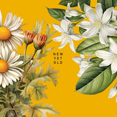 Vintage Book Of Flowers Clipart