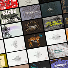 Vintage Bundle - 6600+ Illustrations