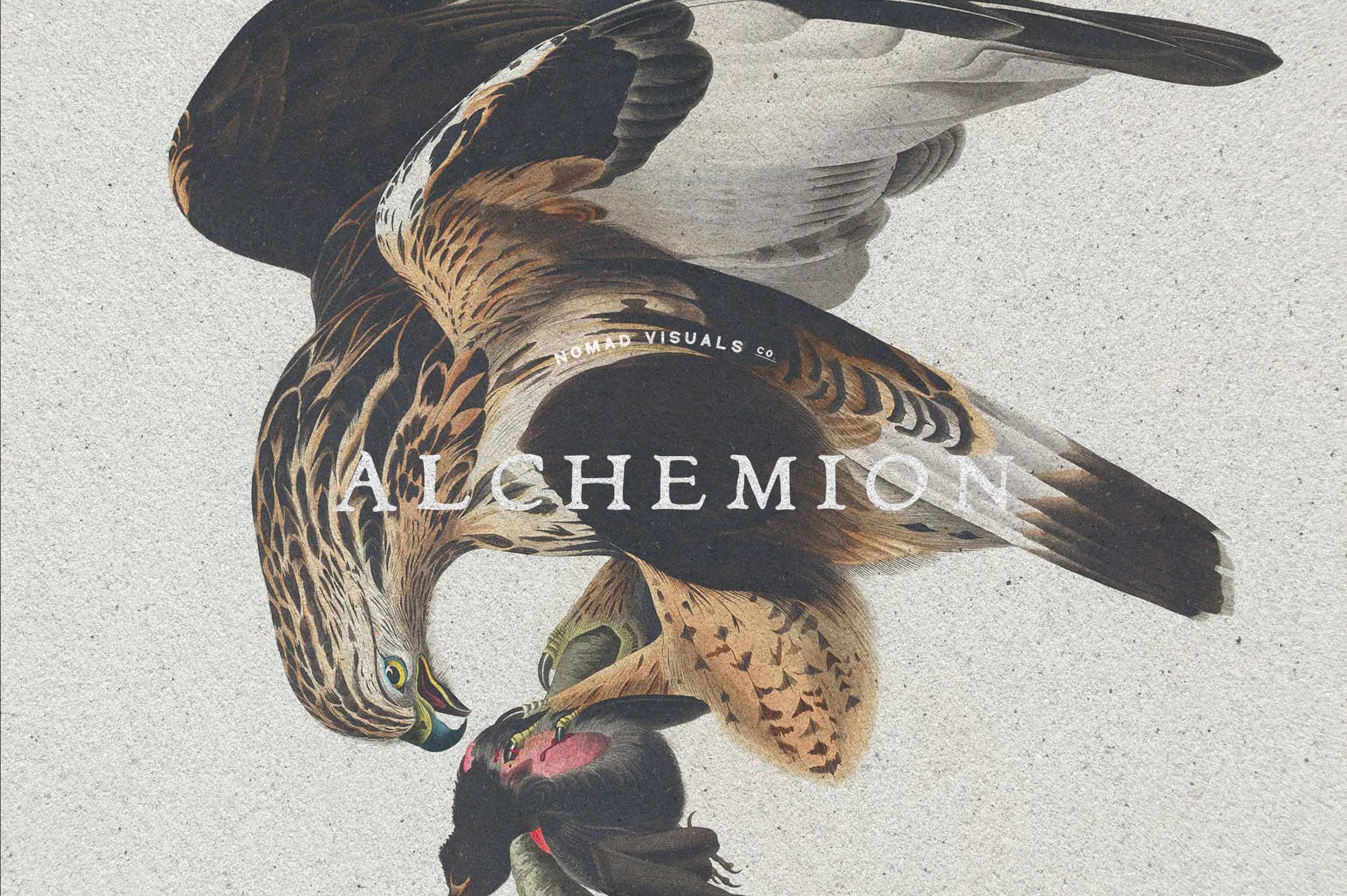 Vintage Logo Creator Kit