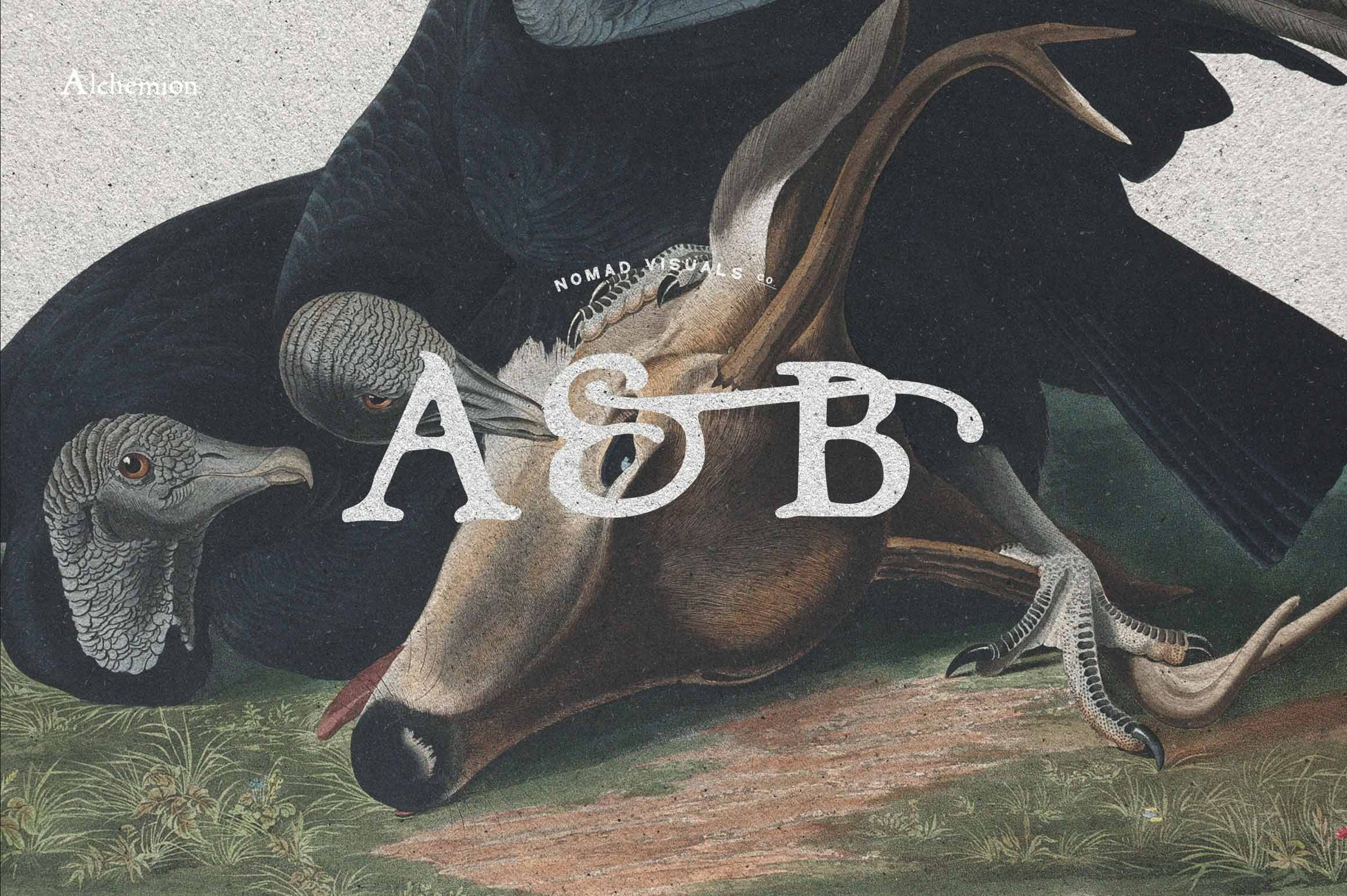 Vintage Logo Creator Kit