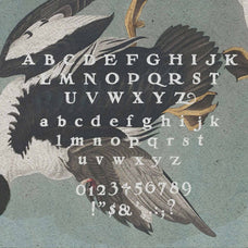 Vintage Logo Creator Kit