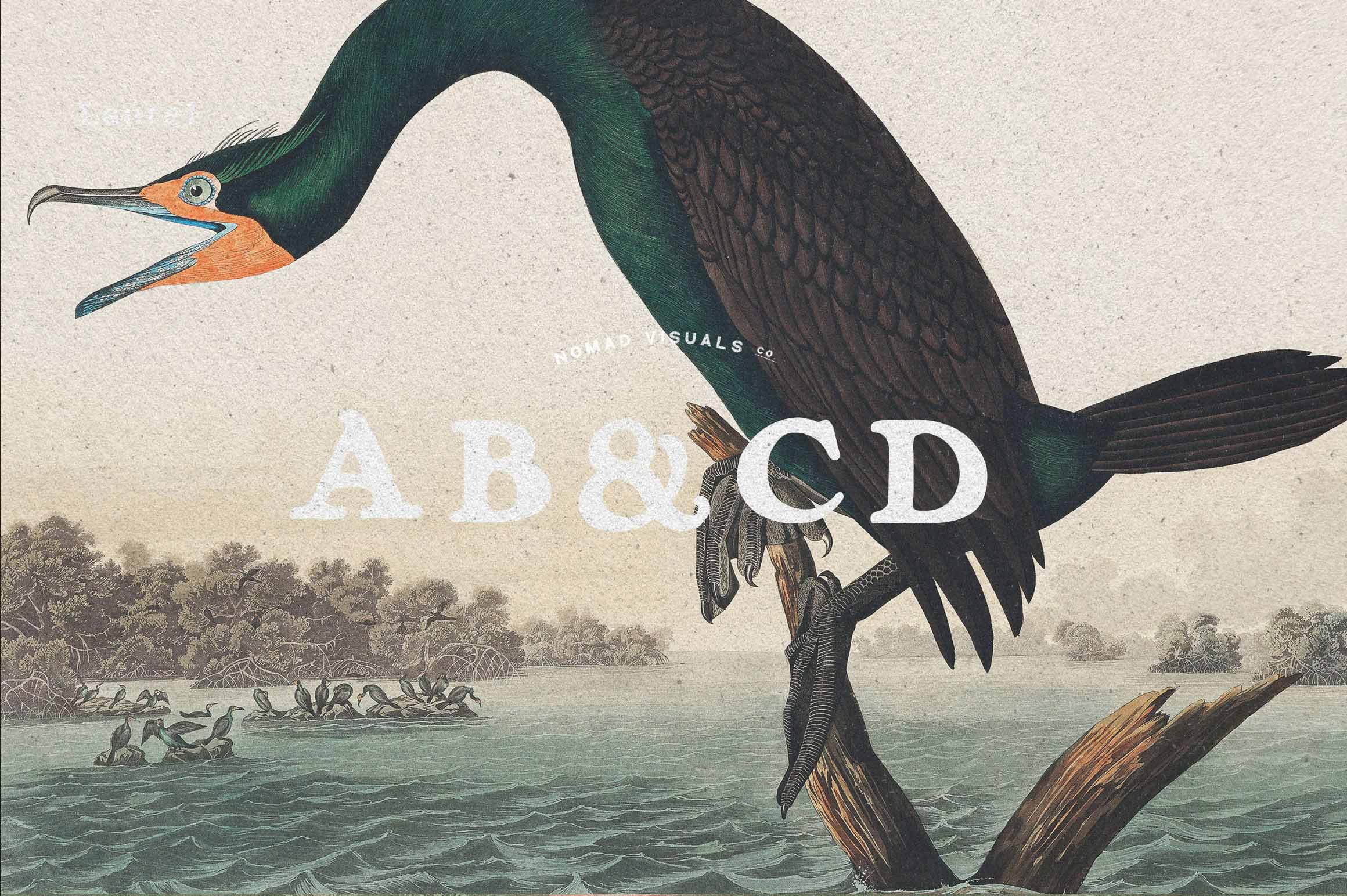 Vintage Logo Creator Kit