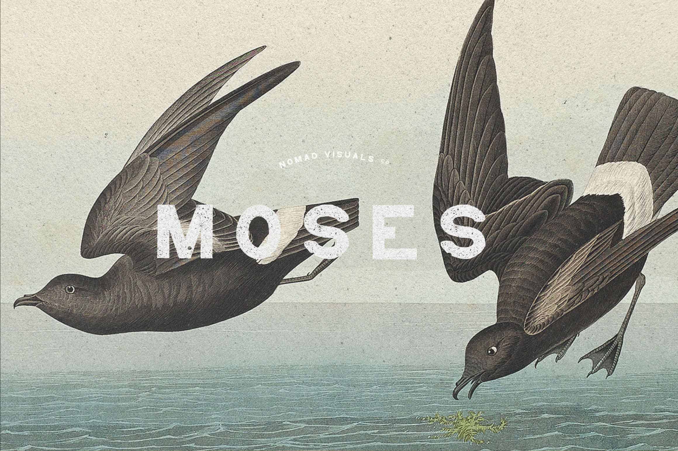 Vintage Logo Creator Kit