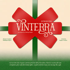vinterra-modern-display-serif-font-casloop-studio-1.jpg