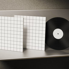 vinyl-mockup-morrobati-2.jpg