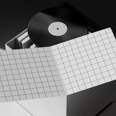 vinyl-mockup-morrobati-4.jpg
