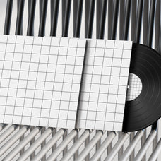 vinyl-mockup-morrobati-4.jpg