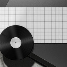 vinyl-mockup-morrobati-6.jpg