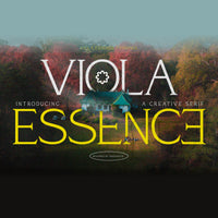 Viola Essence Creative Serif Font