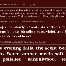 vioneta-sloane-high-contrast-serif-font-roomspace-creative-lab-12.png