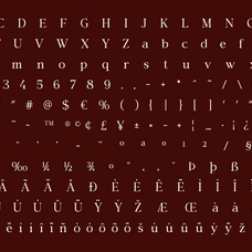 vioneta-sloane-high-contrast-serif-font-roomspace-creative-lab-13.png