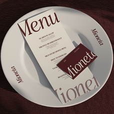 vioneta-sloane-high-contrast-serif-font-roomspace-creative-lab-2.png