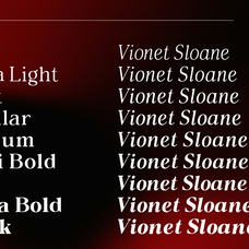 vioneta-sloane-high-contrast-serif-font-roomspace-creative-lab-4.png