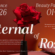 vioneta-sloane-high-contrast-serif-font-roomspace-creative-lab-6.png