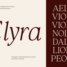 vioneta-sloane-high-contrast-serif-font-roomspace-creative-lab-8.png