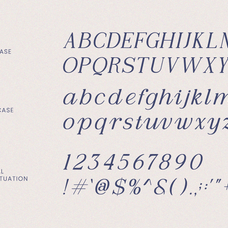 virelune-elegant-luxury-serif-font-rasio-std-2.png