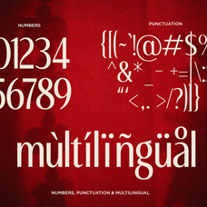 voceran-luxury-ligature-sans-serif-font-ragamkata-studio-10.png