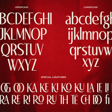 voceran-luxury-ligature-sans-serif-font-ragamkata-studio-9.png