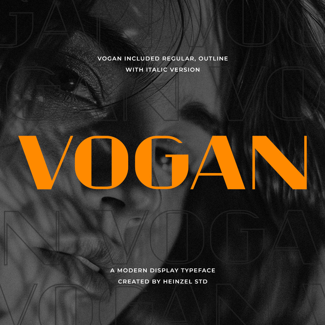 vogan-modern-display-typeface-heinzel-std-1.jpg