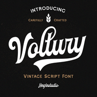 Voltury Vintage Bold Script Fonts