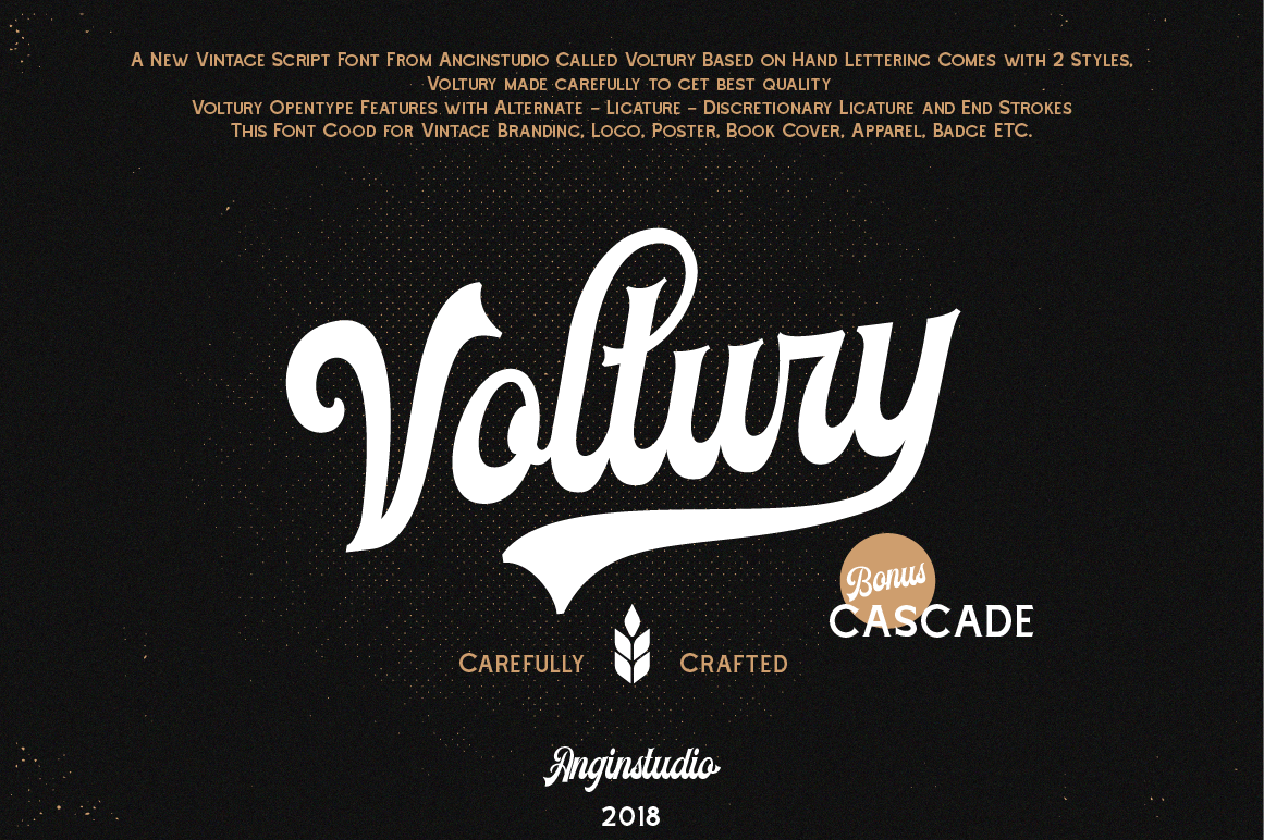 voltury-vintage-bold-script-fonts-angin-studio-3.png