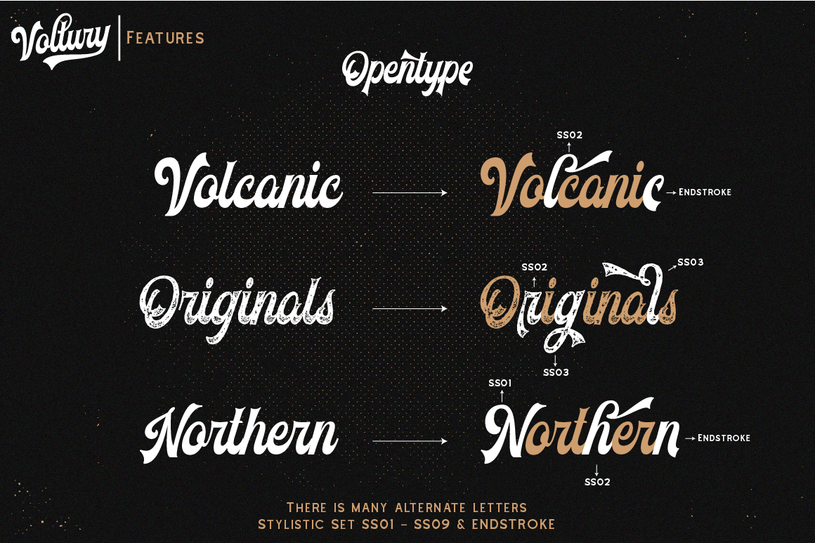 voltury-vintage-bold-script-fonts-angin-studio-5.png