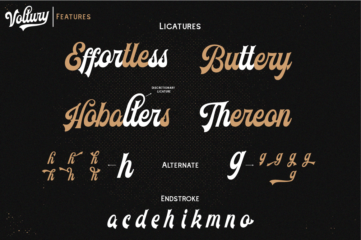 voltury-vintage-bold-script-fonts-angin-studio-6.png