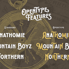 vonder-vintage-sans-serif-font-zarma-type-4.png