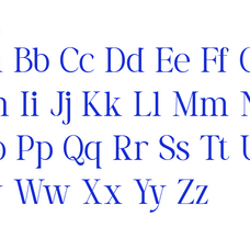 vorello-modern-editorial-serif-font-rasio-std-2.png