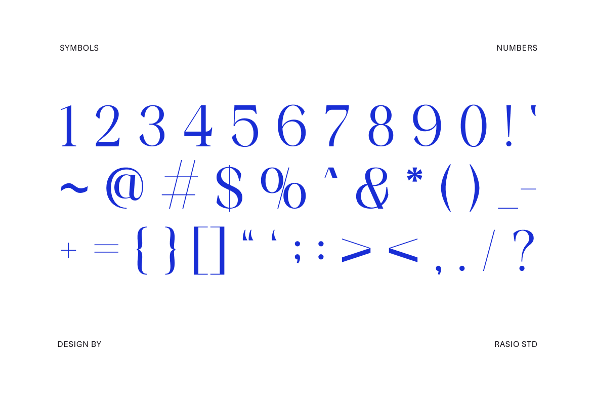 vorello-modern-editorial-serif-font-rasio-std-3.png