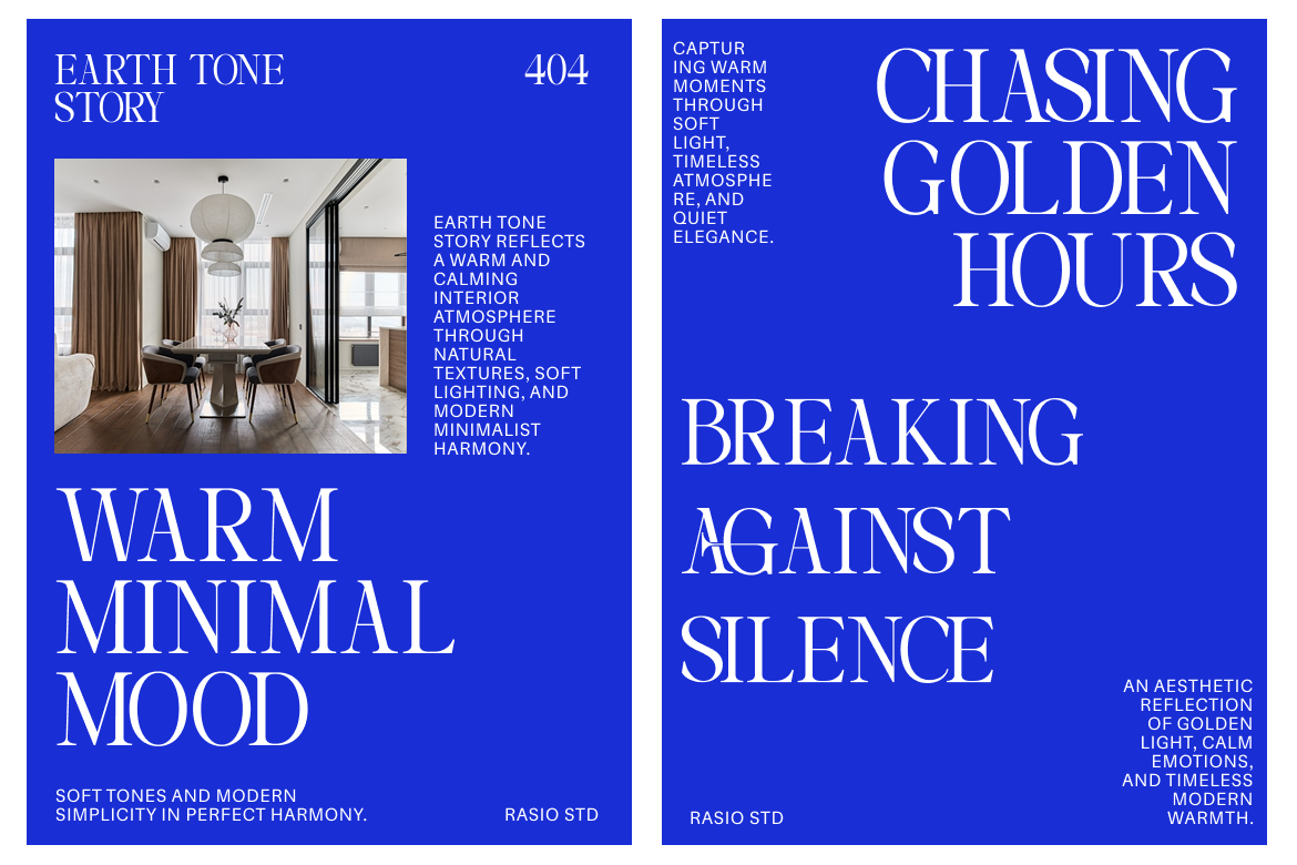 vorello-modern-editorial-serif-font-rasio-std-4.png