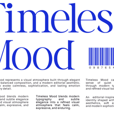 vorello-modern-editorial-serif-font-rasio-std-5.png
