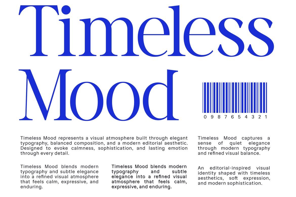 vorello-modern-editorial-serif-font-rasio-std-5.png