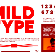 vorn-bold-modern-grotesk-font-unknown-creator-6.png