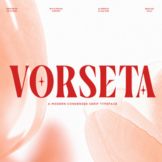 vorseta-luxury-condensed-serif-font-say-studio-1.png