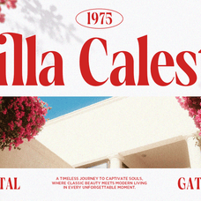 vorseta-luxury-condensed-serif-font-say-studio-3.png