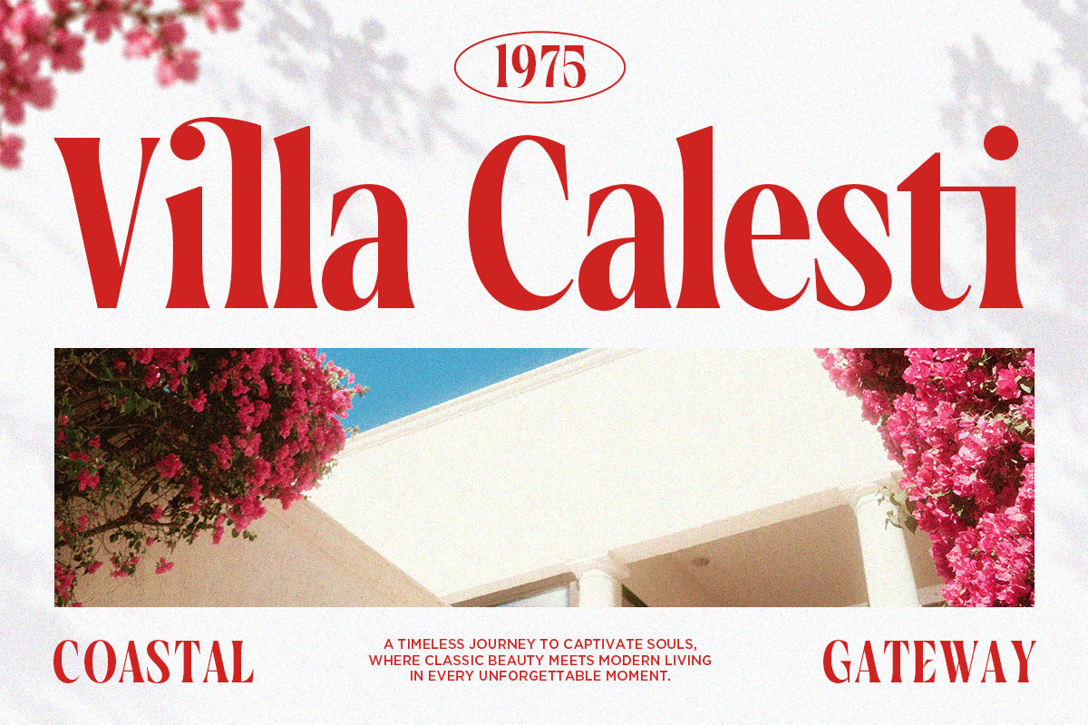 vorseta-luxury-condensed-serif-font-say-studio-3.png