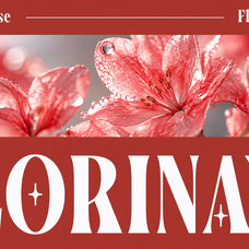 vorseta-luxury-condensed-serif-font-say-studio-4.png