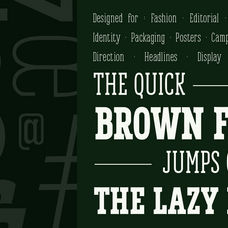 vortiger-modern-western-serif-display-typeface-roomspace-creative-lab-7.png